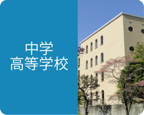 中学高等学校